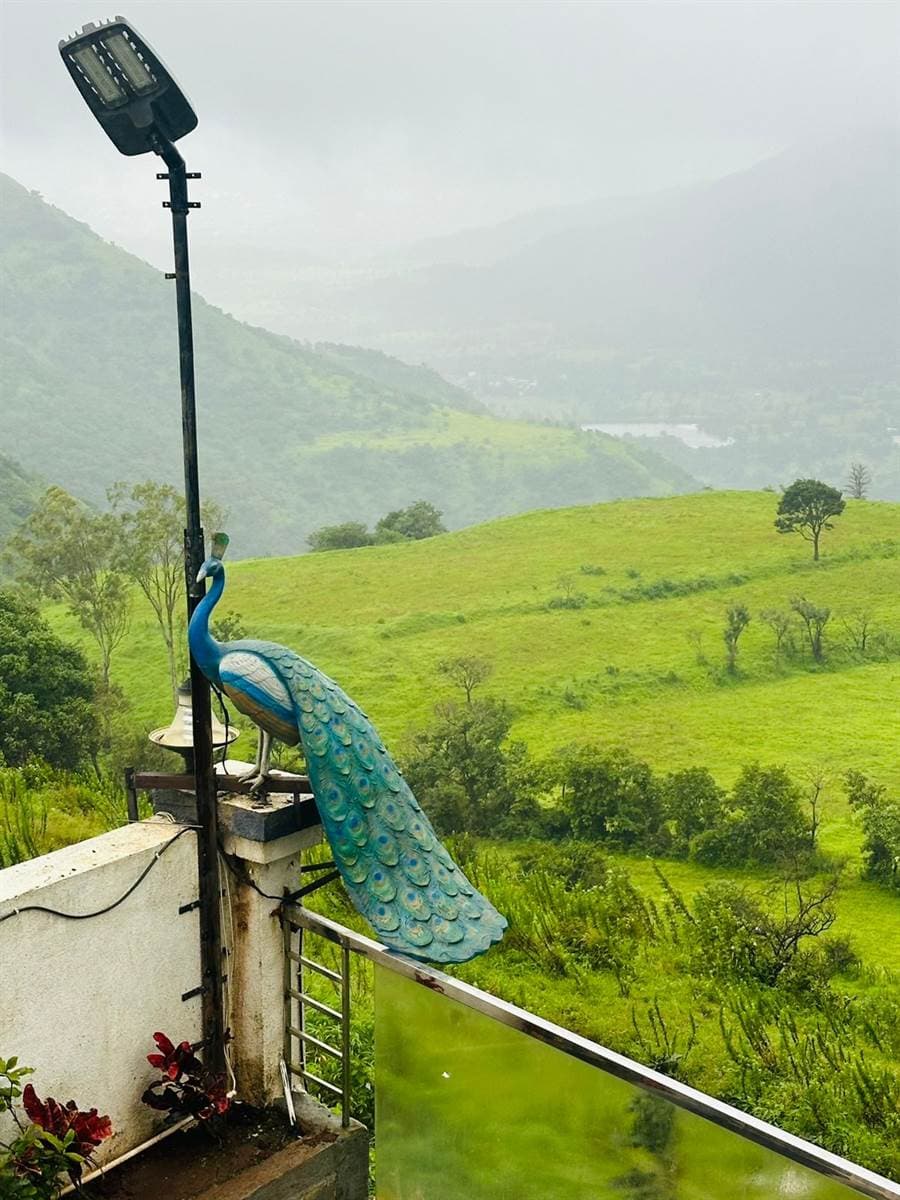 View from Patil Wada 4